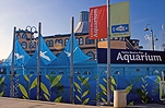 Santa Monica Pier Aquarium (exterior)